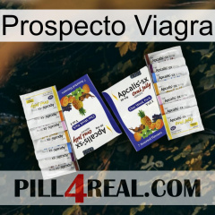 Prospecto Viagra 12